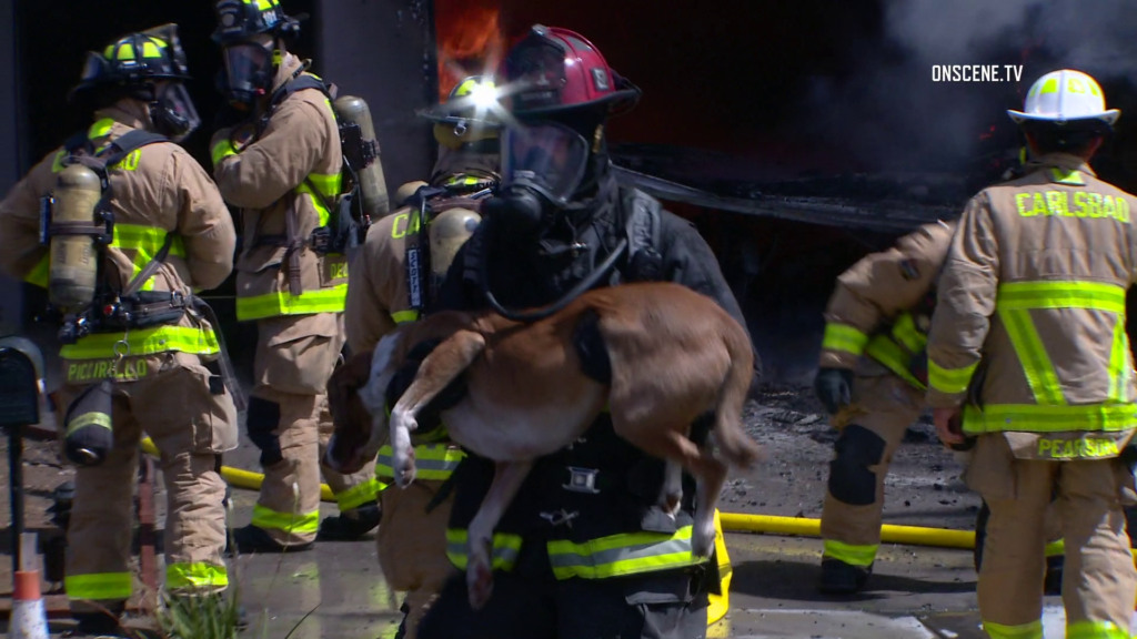 Carlsbad: Firefighters Rescue Dogs From Burning Home - ONSCENE.TV