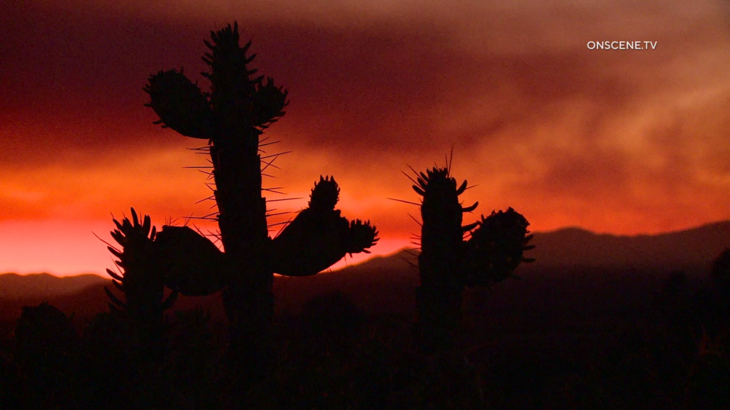 Camp Pendleton: Brush Fire Grows To 60+ Acres - ONSCENE.TV