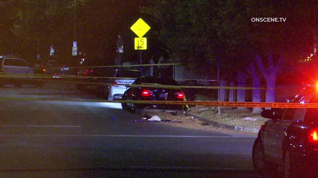 Los Angeles: Woman Seriously Injured After Being Shot Outside Car ...