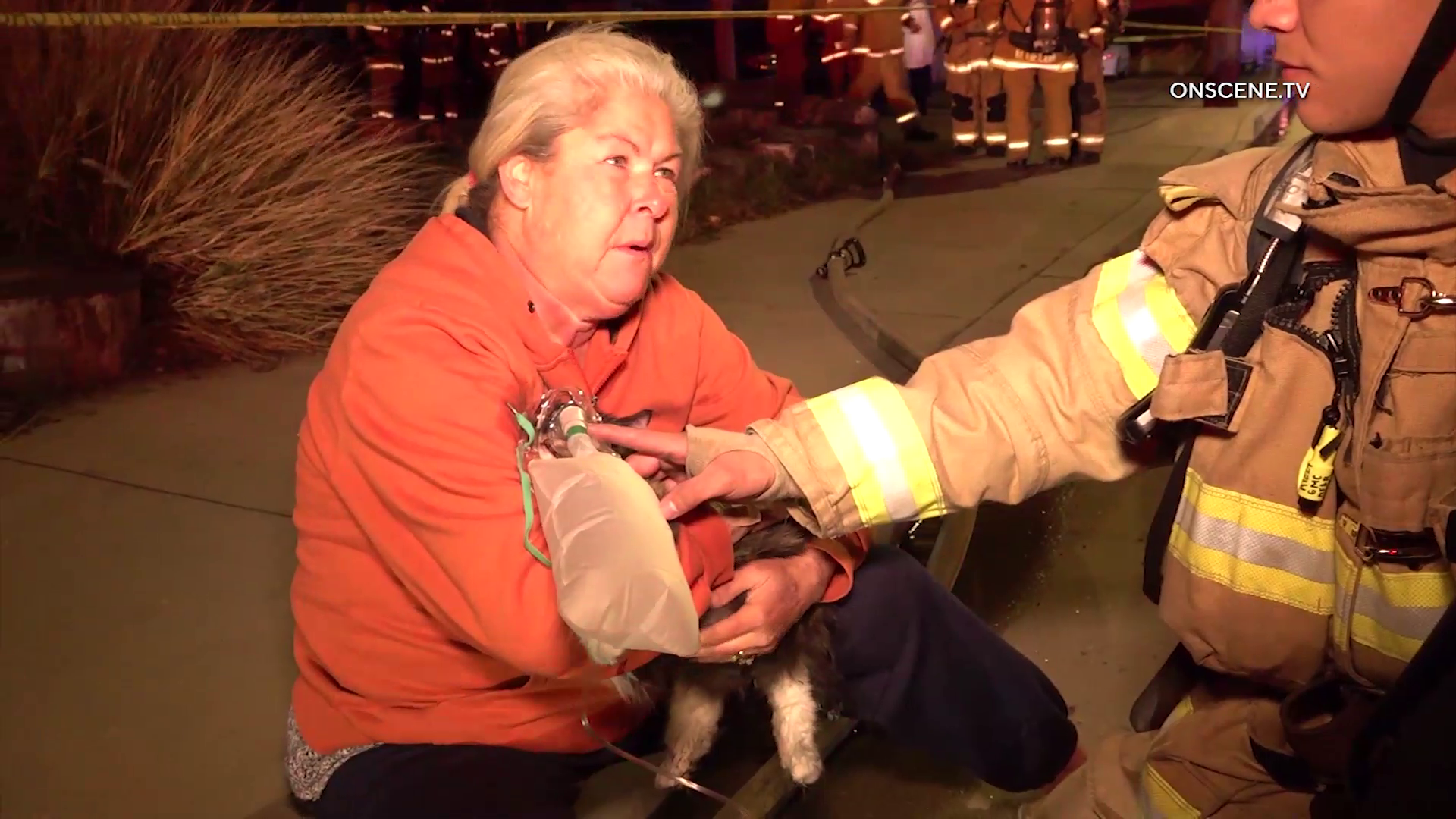 Anaheim: Cat Rescued From Burning Home - ONSCENE.TV