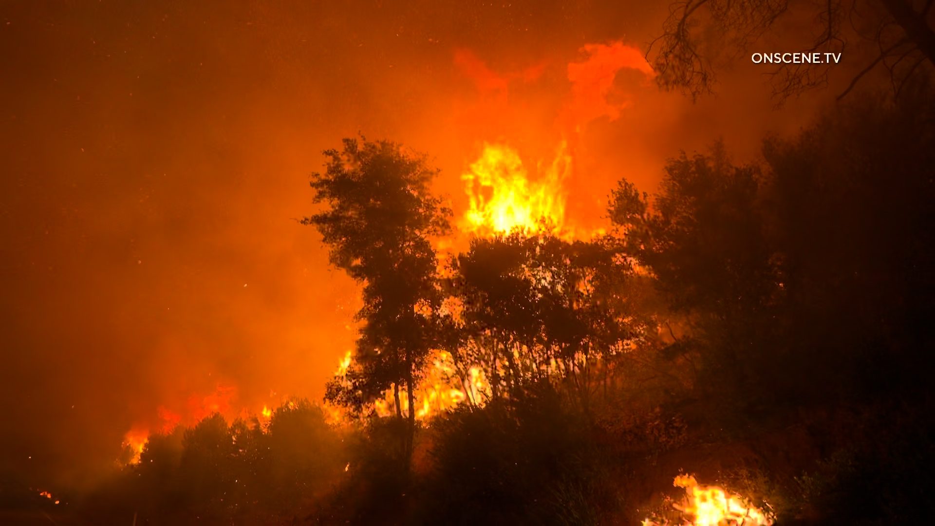 100s Trapped In Town As Park Fire Explodes Thousands Of Acres – ONSCENE.TV