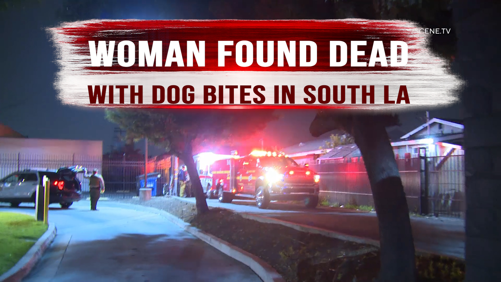 Woman Found Dead With Dog Bites in South LA – ONSCENE.TV
